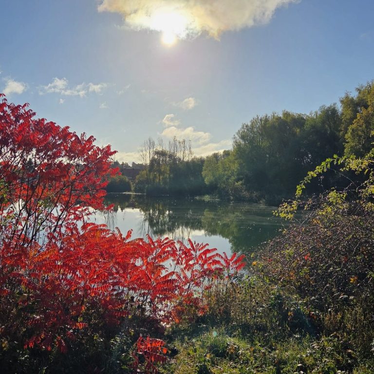 Blick auf einen ruhigen See umgeben von buntem Herbstlaub und strahlendem Sonnenschein.