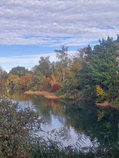 Bunte Herbstlandschaft mit einem ruhigen Fluss und grünem Uferbewuchs.