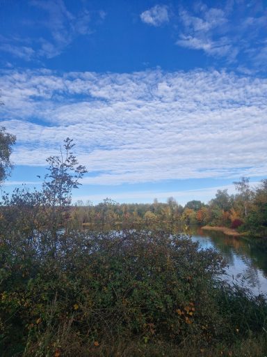 Blauer Himmel mit Wolken über einem ruhigen Gewässer und buntem Uferbewuchs.