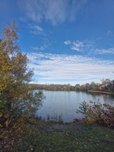 Ein ruhiger See umgeben von Bäumen unter einem klaren blauen Himmel.