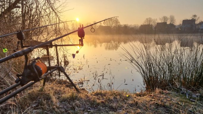 Ruten am Ufer eines ruhigen Sees bei Sonnenaufgang, Nebel und Morgentau sichtbar.