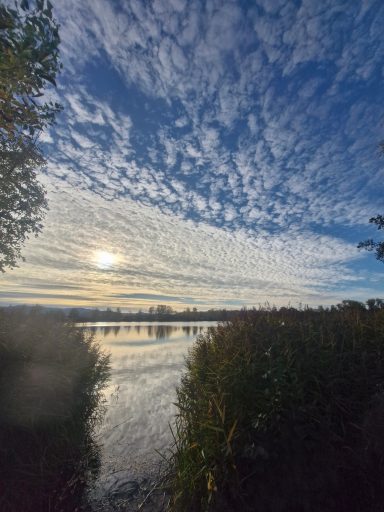 Sonnenuntergang über einem ruhigen Gewässer, umgeben von Wolken und Bäumen.