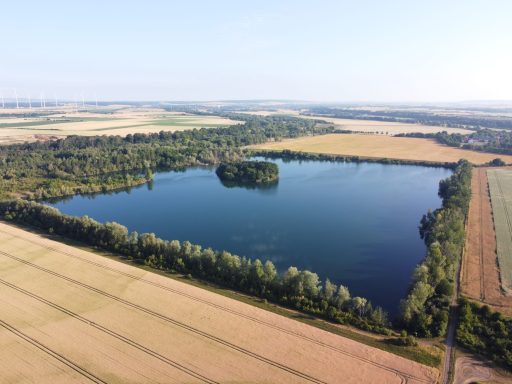 Ruhevolle Landschaft mit einem klaren See, umgeben von Bäumen und Feldern.