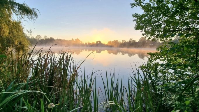 Morgendlicher See mit Nebel, umgeben von Schilf und Bäumen, sanftes Licht am Horizont.